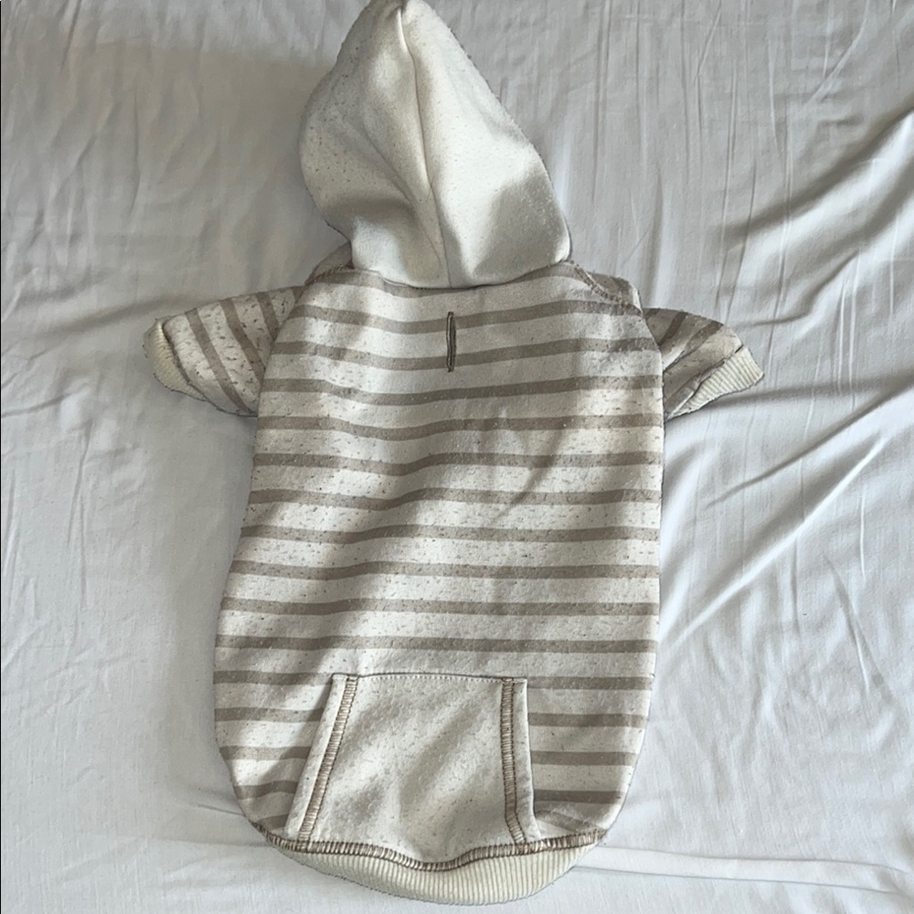 Striped Hooded Dog Sweater